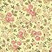 Quilt Kit English Rose/Quiting Treasure Fabrics