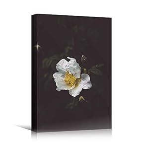 signwin Canvas Wall Art White Fields Bohemian Colorful...