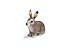 Schleich Wild Rabbit Toy Figure