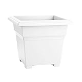 Novelty Countryside Square Tub Planter, White, 18-Inch