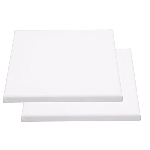 Blank Canvas Board Wooden Framed For Painting DIY Paint By Numbers Kits Oil Painting 2 Pieces Pack (20x30cm)