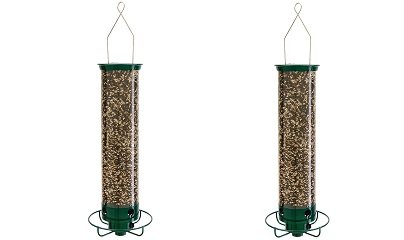 Amazon Com Droll Yankees Squirrel Proof Bird Feeder Yankee