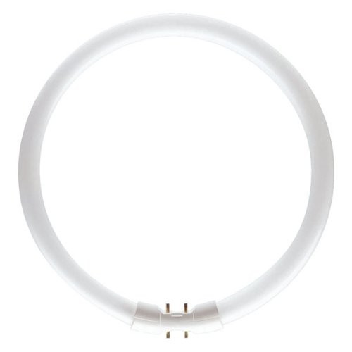 Bell T5 Circular 55W 840 Cool White