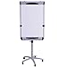 VIZ-PRO Dolphin Magnetic Mobile Whiteboard/Flipchart Easel, 28 X 40 Inches