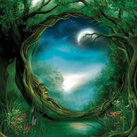 Kindle Fire HD 8.9" Skin Kit/Decal - Moon Tree - John E Shannon (will not fit HDX models)