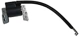 DIY Parts Depot Ignition Coil for Briggs & Stratton 802574,695711,796964