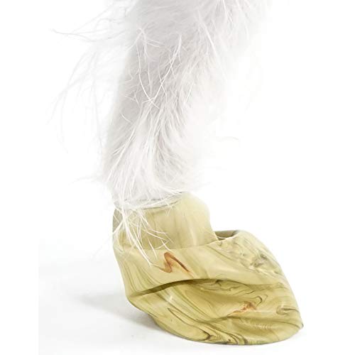 Pawz Dog Boots Dog Paw Protection with Dog Rubber Booties Dog