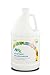 Airx RX 66 Bio-Enzymatic Foul Odor Digester, 1 Gallon Bottle