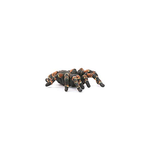 schleich 14829 Vogelspinne, für Kinder ab 3+ Jahren, WILD LIFE - Spielfigur – Bild 5