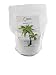 Manganese Sulfate Monohydrate Powder Fertilizer 100%"Greenway Biotech Brand" 5 Pounds primary