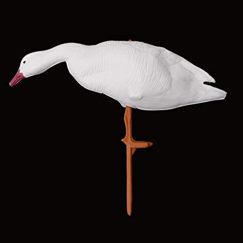 B Blesiya Hunting Shooting White Goose Decoys Decoying 3 Type -Resting,Standing,Eating - Eating Goose