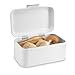 Polder KTH-816201 Mini Retro Bread and Kitchen Storage Bin, Steel, 12
