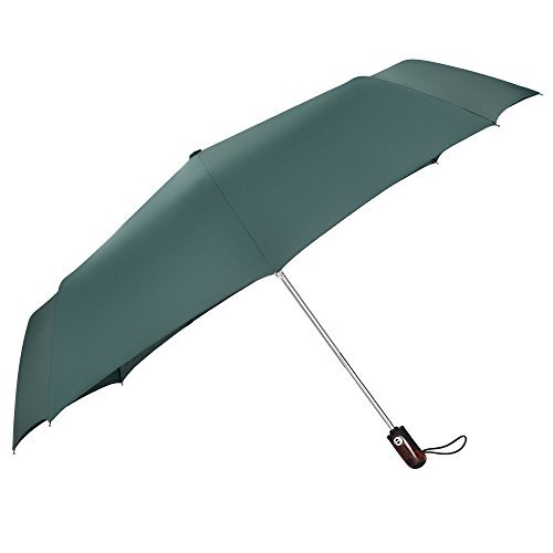Plemo Compact Windproof Travel Umbrella Automatic Open and Close with Safety Telescopic Rod Folding Rain Umbrella, 210T Water-repelling Fabric 8 Fiberglass Ribs,Green