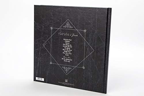 Heart Like a Grave (Ltd. Deluxe 2CD Artbook)