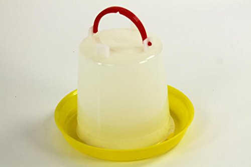 Qubeat Geflügeltränke 2 Liter Tränke Huhn Hühner Stülptränke – Bild 4