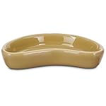 Imagitarium Ceramic Kidney Terrarium Dish for Reptiles, Small