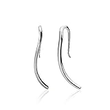 Sterling Silver Wave Polished Hook Earrings