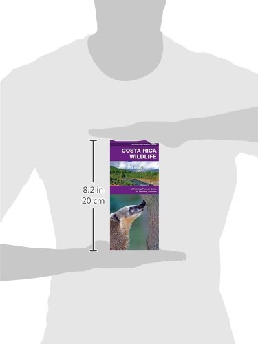 image for Brand: Waterford Press Costa Rica Wildlife: A Folding Pocket Guide to 