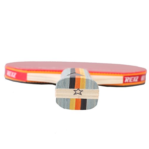 Anser 1 Star Short or Long Handle Ping Pong Paddle Table Tennis Racket with Case (Short Handle)