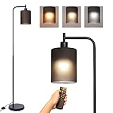 addlon LED Floor Lamp, with Matte Black Hanging