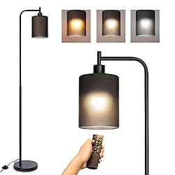 addlon LED Floor Lamp, with Matte Black Hanging