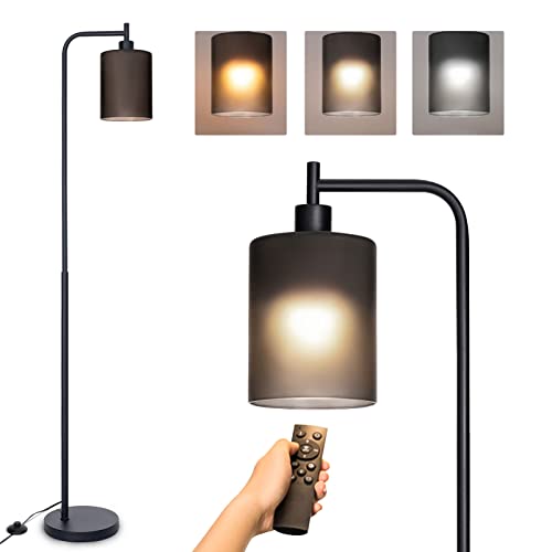 addlon LED Floor Lamp, with Matte Black Hanging