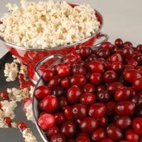 Cranberry Kettle Corn Candle/Soap Fragrance Oil 1oz