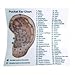 Angled Curved Ear and Body Point Probe Stimulator Acupressure Pocket Ear Chart and Pouch