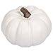 Elanze Designs Classic White 6 inch Resin Harvest Decorative Pumpkin
