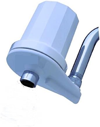 Shower Filter, White, w/ Replaceable Cartridge