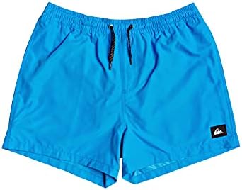 Everyday Volley 15", Bañador para Hombre, Blithe, M