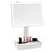 GROWRICH Lighted Makeup Mirror,with (2.9