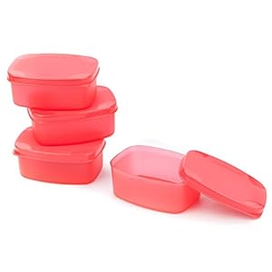 Signoraware Cute Plastic Container Set, 100ml, Set of 4, Red
