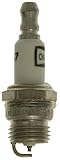 Champion (5847) DJ8J 'EZ Start' Small Engine Spark Plug, Pack of 1