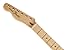 Fender Telecaster Neck