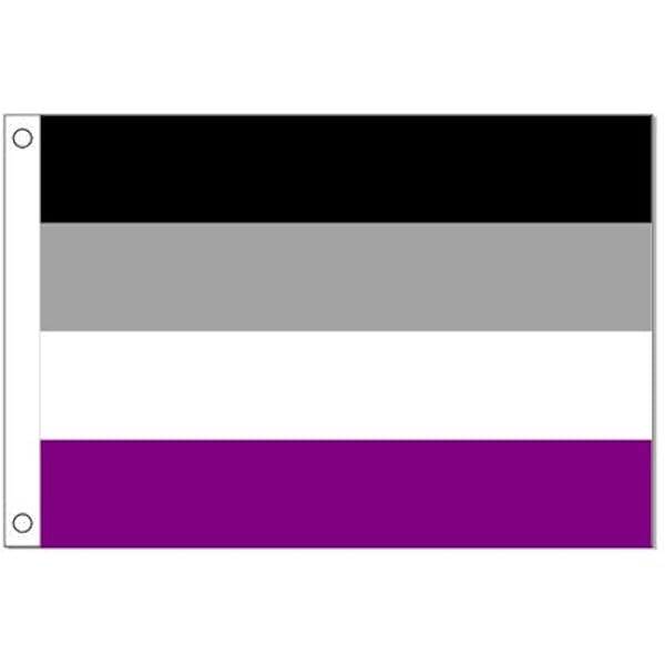 Amazon Com Asexuality Pride Flag 3 Ft X 5 Ft Outdoor Flags Garden Outdoor