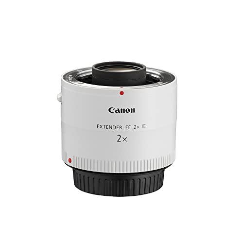 Canon Téléconvertisseur Ef Multiplicateur 2X III
