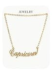 Love Melrose Womens Zodiac Sign Fashion Necklace