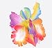 MorningRising 20 Pcs Multicolor Women Girls Orchid Flower Bohemian Leopard Hair Clip Wedding Party Beach Bridal Hairclip Hair Pins Hair Barrette Accessories