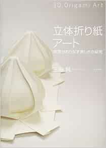 立体折り紙アート Amazon Com Books