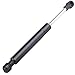 ECCPP 2pcs Rear Trunk Lift Supports for 2004-2008 Nissan Maxima Compatible with SG425004 4078
