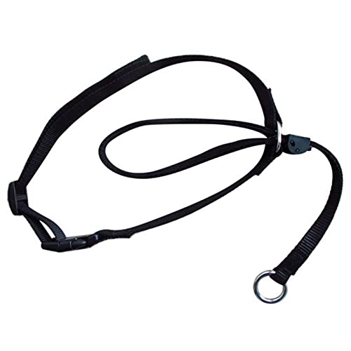 Boolavard Dog Collars & Leashes Pet Head Collar Gentle Control Leash Leader Stop Pulling Training Tool No-Pull Painless (Large, Black)
