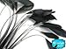 Moonlight Feather | 1 Dozen - Black Stripped Rooster Coque Tail Feathers Craft Costume Supply