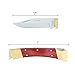 Sheffield 12102 5 Inch Lock-back Knife