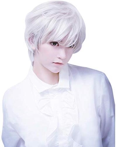 Amazon Com White Anime Wig Boy Band Short Wig For Carnivals White