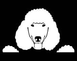 Chase Grace Studio Poodle Poodles Vinyl Decal Sticker|WHITE|Cars Trucks Vans SUV Laptops Wall Art|5.5