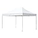Abba Patio 10 x 15 ft Outdoor Heavy Duty Pop Up Portable Instant Canopy Event Commercial Folding Canopy, White