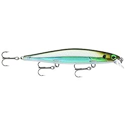 Rapala Shadow Rap 11 Moss Back Shiner
