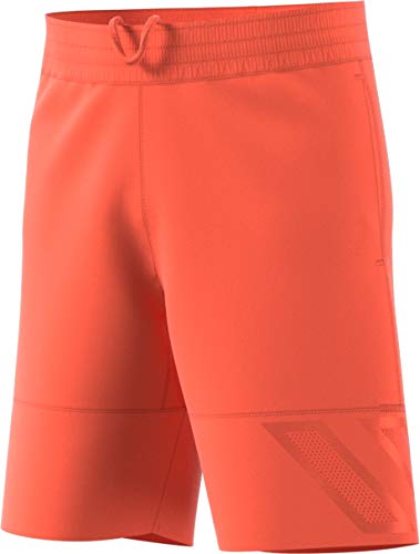 n3xt l3v3l shorts