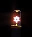 Electric Memorial Lamp Gold Jewish Flame Design Memory Yahrzeit Yizkor Lamp with Neon Jewish Star Bulb
